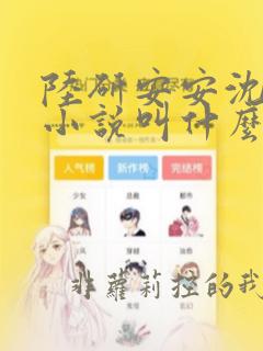 陆研安安沈清宜小说叫什么名字