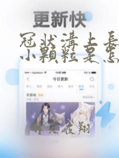 冠状沟上长几个小颗粒是怎么回事