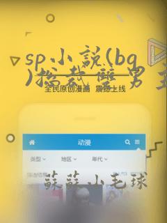 sp小说(bg)总裁双男主