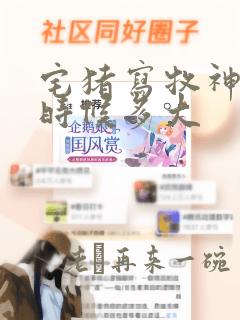 宅猪写牧神记的时候多大