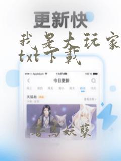 我是大玩家全文txt下载