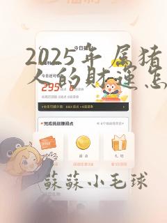 2025年属猪人的财运怎么样