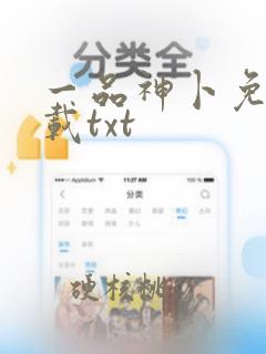 一品神卜免费下载txt