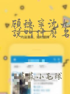 顾穗宁沈九思小说叫什么名字