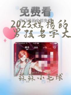 2023姓杨的男孩名字大全