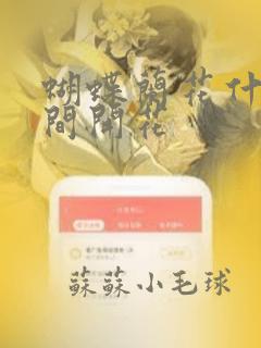 蝴蝶兰花什么时间开花