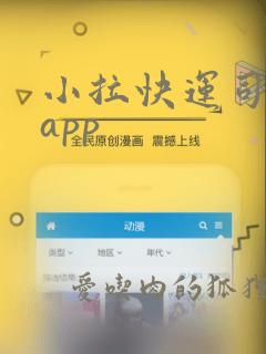 小拉快运司机版app