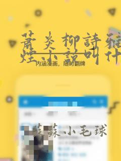 萧炎柳诗雅柳如烟小说叫什么名字