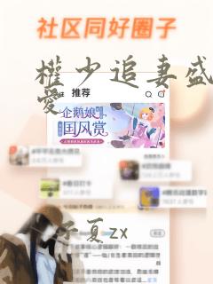 权少追妻盛婚秘爱