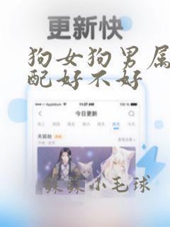 狗女狗男属相婚配好不好