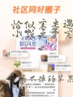 恰似寒光遇骄阳小说免费完整版txt