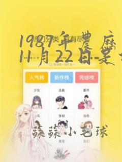 1987年农历11月22日是什么命