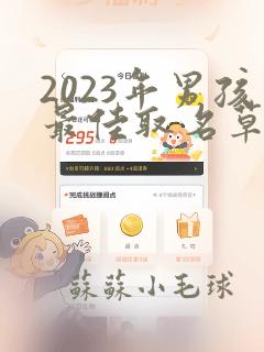 2023年男孩最佳取名草字头