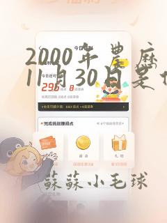 2000年农历11月30日是什么命