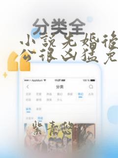 小说先婚后爱老公很凶猛免费阅读