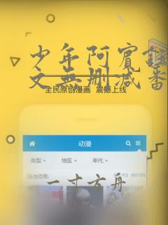 少年阿宾钰慧全文无删减番外txt