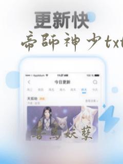 帝师神少txt