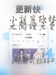 小说宁欣林峰全文阅读免费