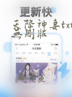 天降神妻txt无删版