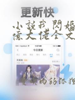 小说我闪婚了千亿大佬全文阅读