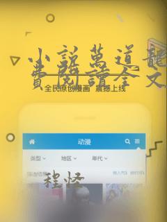 小说万道龙皇免费阅读全文无窗口