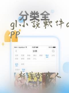 gl小说软件app