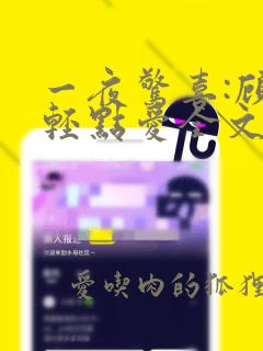 一夜惊喜:顾少轻点爱全文免费阅读