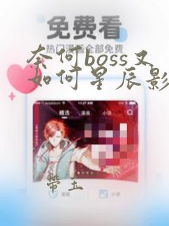 奈何boss又如何星辰影视