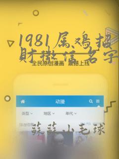 1981属鸡招财微信名字