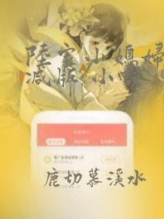 陆家小媳妇无删减版 小说