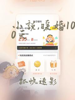 小说,暖婚100天