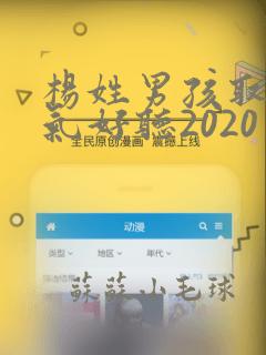 杨姓男孩取名洋气好听2020