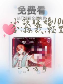 小说暖婚100分:总裁,轻点宠