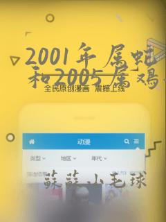 2001年属蛇和2005属鸡女婚配