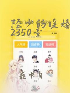 陆少的暖婚新妻2350章