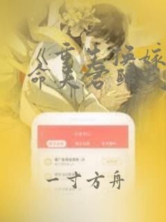 《重生换嫁:短命夫君归我喽》