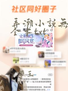 弄潮小说无删减全本txt