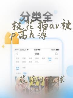 校花拍av被np高h薄