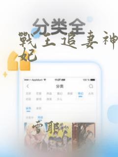 战王追妻神医狂妃