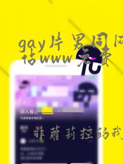 gay片男同网站www免费