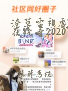 潦草电视剧免费在线看2020