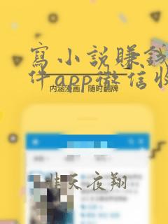 写小说赚钱的软件app微信收款