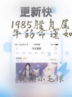 1985腊月属牛的命运如何