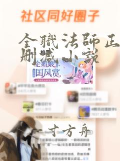 全职法师正版无删减小说