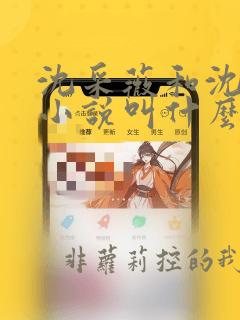 沈采薇和沈清欢小说叫什么名字