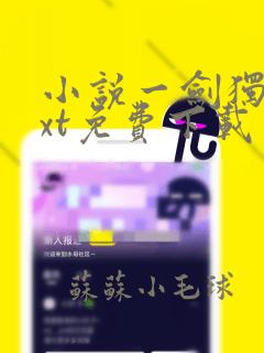 小说一剑独尊txt免费下载