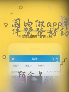 国内做app软件开发好的公司