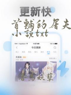 首辅的屠夫悍妻小说txt