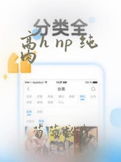 高h np 纯肉