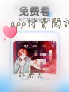 app付费阅读